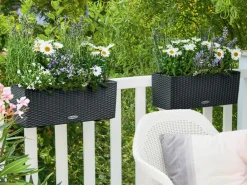 LECHUZA® Kunststoff-Kasten Balconera Cottage, rechteckig Schwarz Clearance