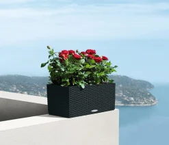 LECHUZA® Pflanzkübel & Blumenkästen|Lechuza Pflanzgefäße & Töpfe - Kunststoff-Kasten Balconera Cottage, rechteckig Dunkelgrau