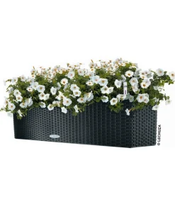 LECHUZA® Kunststoff-Kasten Balconera Cottage, rechteckig Schwarz