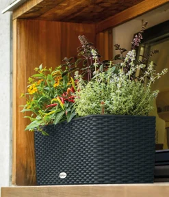 LECHUZA® Kunststoff-Kasten Balconera Cottage, rechteckig Schwarz