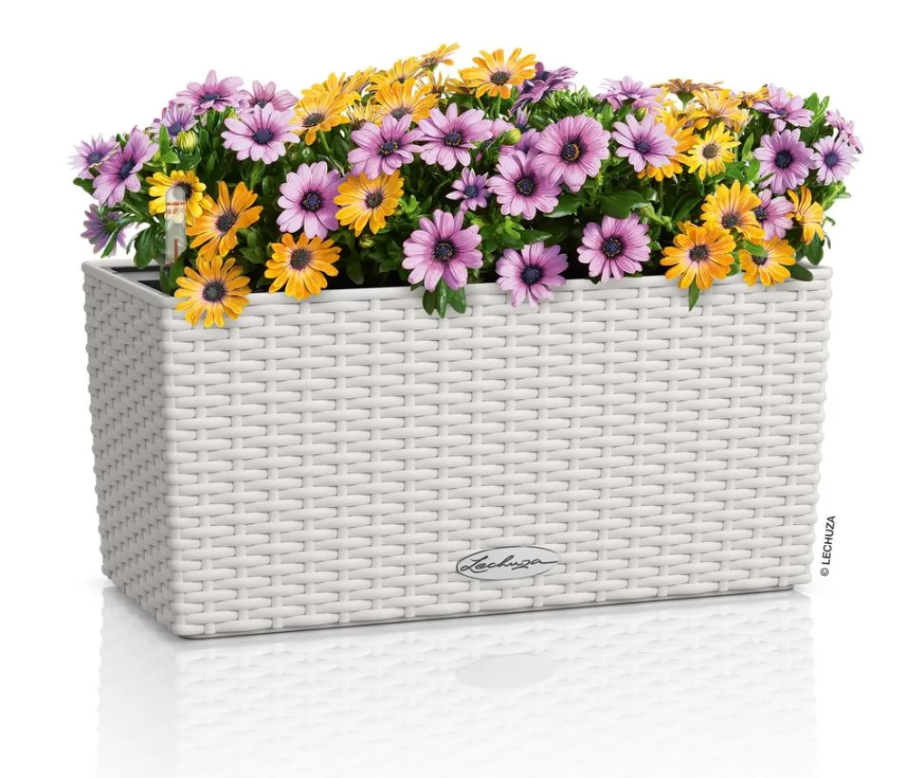 LECHUZA® Kunststoff-Kasten Balconera Cottage, rechteckig Hellgrau Discount