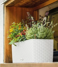 LECHUZA® Pflanzkübel & Blumenkästen|Lechuza Pflanzgefäße & Töpfe - Kunststoff-Kasten Balconera Cottage, rechteckig Weiß