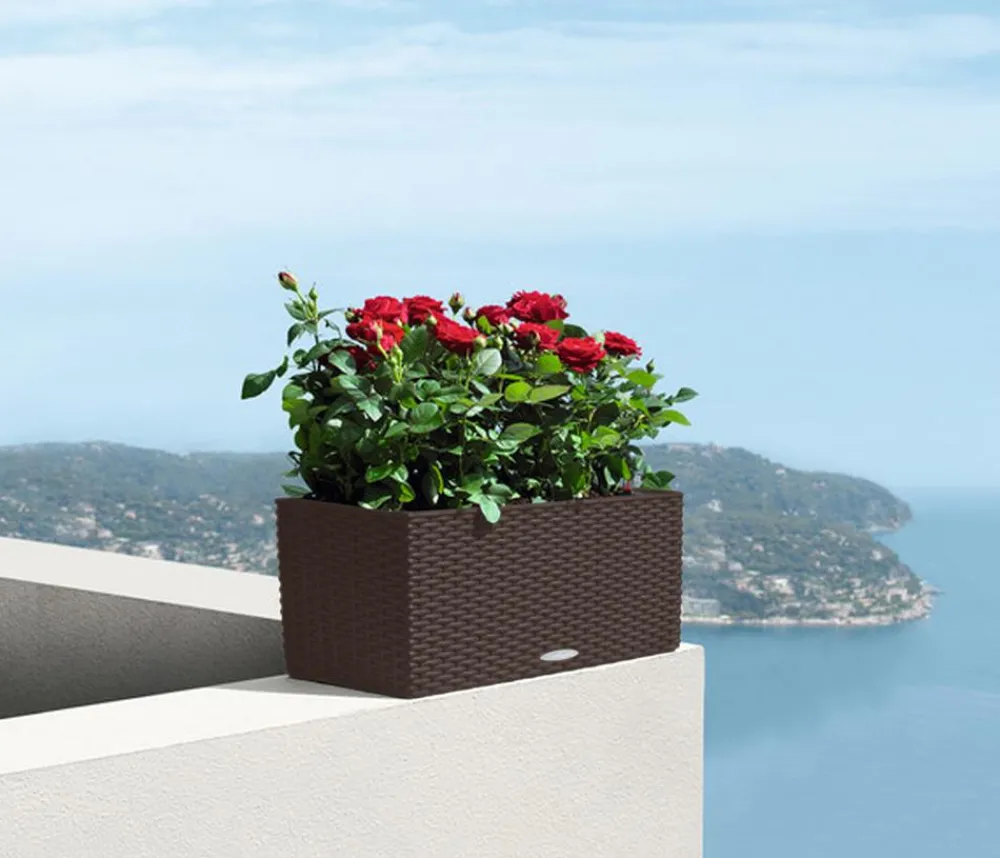 LECHUZA® Pflanzkübel & Blumenkästen|Lechuza Pflanzgefäße & Töpfe - Kunststoff-Kasten Balconera Cottage, rechteckig Dunkelbraun