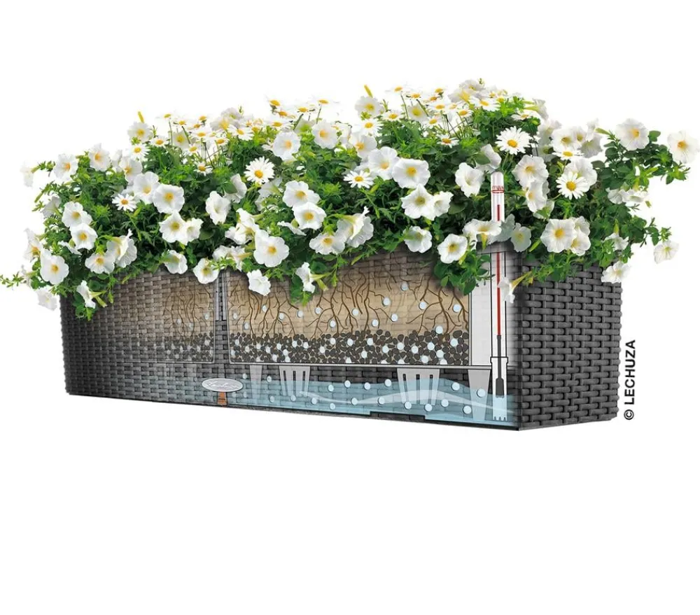 LECHUZA® Pflanzkübel & Blumenkästen|Lechuza Pflanzgefäße & Töpfe - Kunststoff-Kasten Balconera Cottage, rechteckig Dunkelbraun