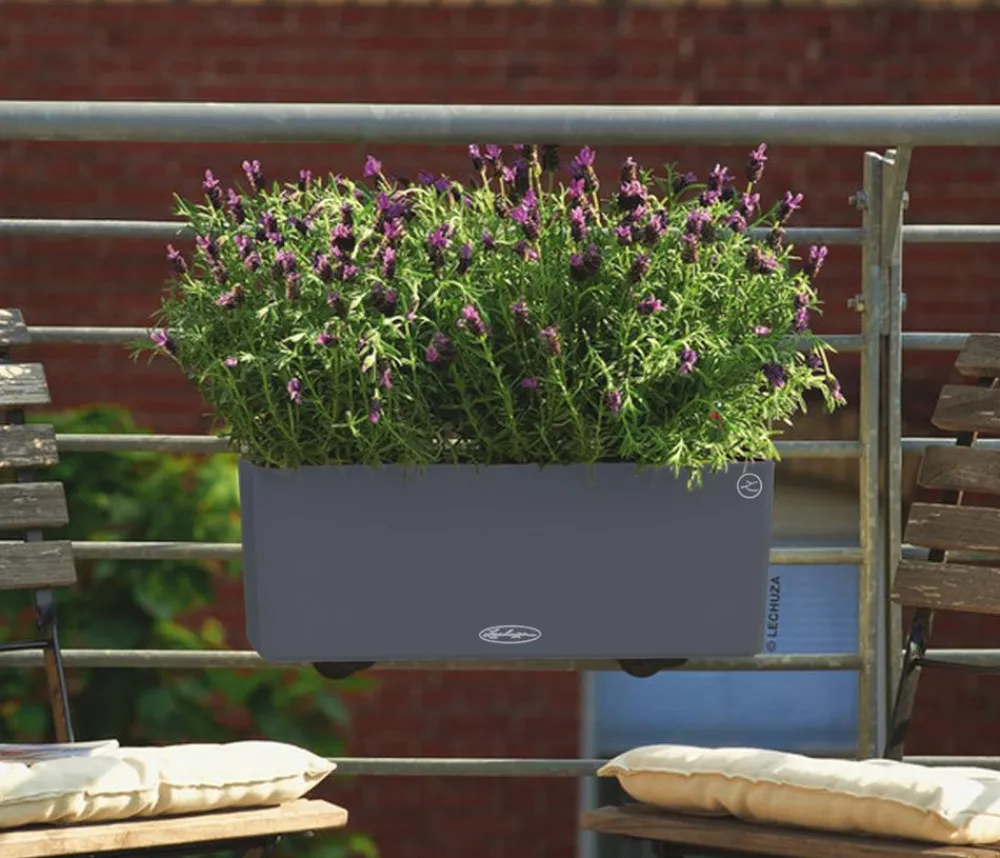 LECHUZA® Pflanzkübel & Blumenkästen|Lechuza Pflanzgefäße & Töpfe - Kunststoff-Kasten Balconera Cottage, rechteckig Beige