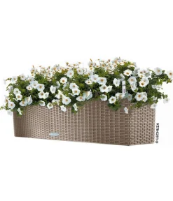 LECHUZA® Pflanzkübel & Blumenkästen|Lechuza Pflanzgefäße & Töpfe - Kunststoff-Kasten Balconera Cottage, rechteckig Beige