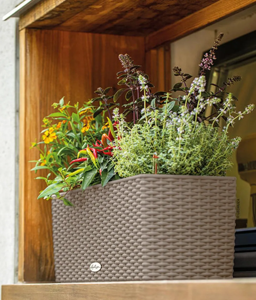 LECHUZA® Pflanzkübel & Blumenkästen|Lechuza Pflanzgefäße & Töpfe - Kunststoff-Kasten Balconera Cottage, rechteckig Beige