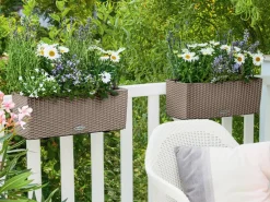 LECHUZA® Pflanzkübel & Blumenkästen|Lechuza Pflanzgefäße & Töpfe - Kunststoff-Kasten Balconera Cottage, rechteckig Beige