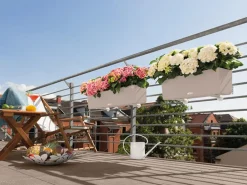 LECHUZA® Kunststoff-Kasten Balconera Color, rechteckig Hellbraun New