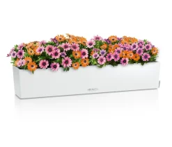 LECHUZA® Pflanzkübel & Blumenkästen|Lechuza Pflanzgefäße & Töpfe - Kunststoff-Kasten Balconera Cottage, rechteckig Hellgrau
