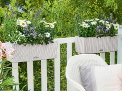 LECHUZA® Pflanzkübel & Blumenkästen|Lechuza Pflanzgefäße & Töpfe - Kunststoff-Kasten Balconera Cottage, rechteckig Hellgrau