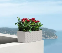 LECHUZA® Pflanzkübel & Blumenkästen|Lechuza Pflanzgefäße & Töpfe - Kunststoff-Kasten Balconera Cottage, rechteckig Hellgrau