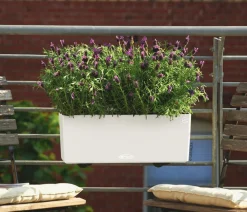 LECHUZA® Kunststoff-Kasten Balconera Color, rechteckig Weiß Outlet