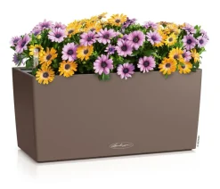 LECHUZA® Pflanzkübel & Blumenkästen|Lechuza Pflanzgefäße & Töpfe - Kunststoff-Kasten Balconera Color, rechteckig Creme