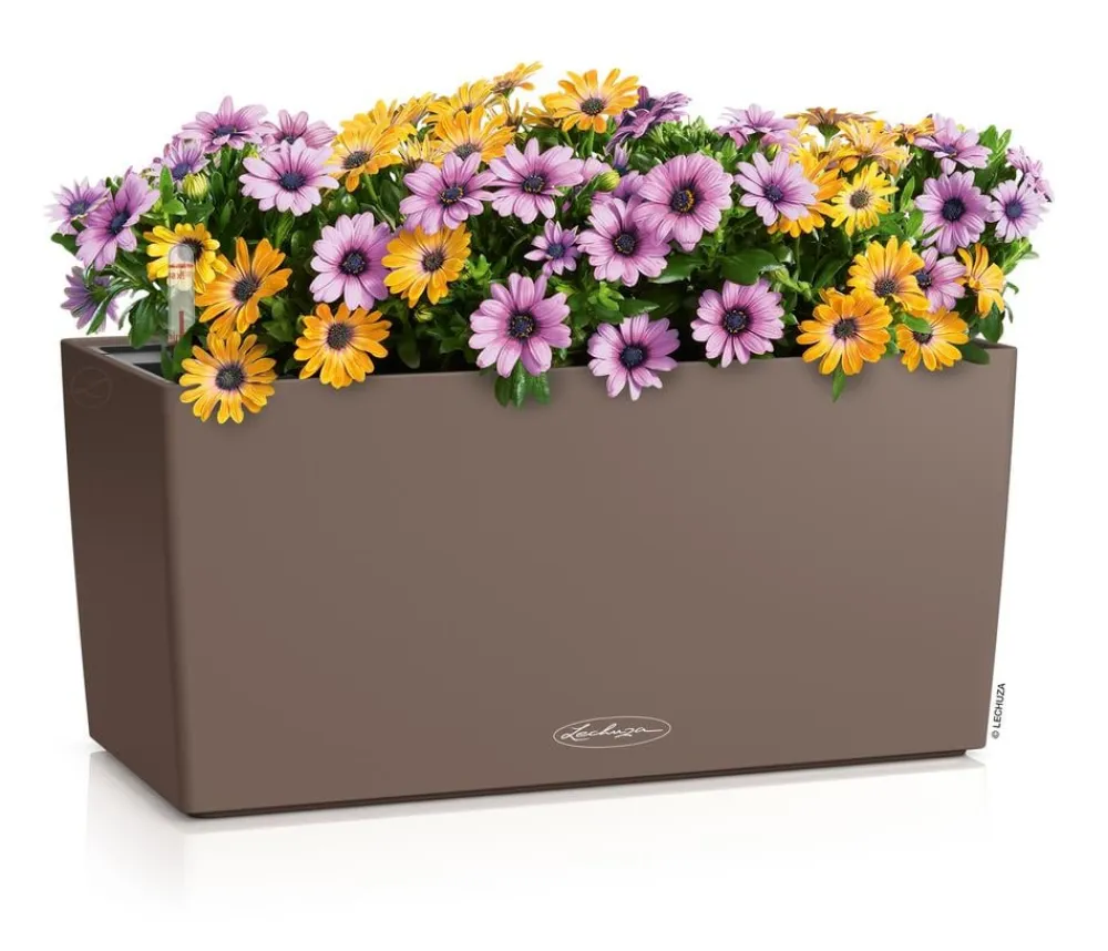 LECHUZA® Pflanzkübel & Blumenkästen|Lechuza Pflanzgefäße & Töpfe - Kunststoff-Kasten Balconera Color, rechteckig Creme