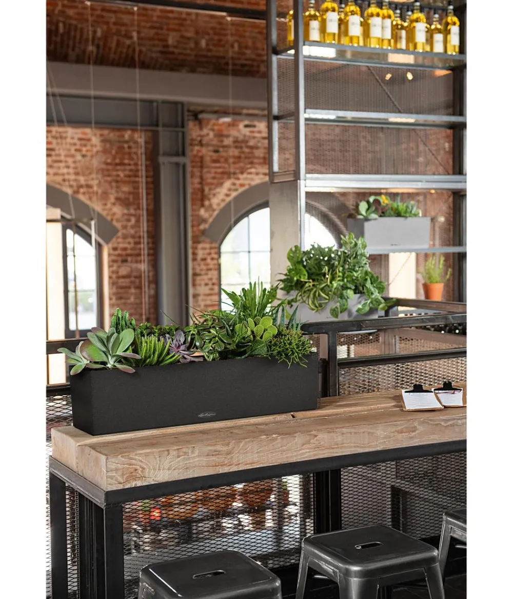 LECHUZA® Pflanzkübel & Blumenkästen|Lechuza Pflanzgefäße & Töpfe - Kunststoff-Kasten Balconera Color, rechteckig Creme