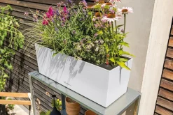 LECHUZA® Pflanzkübel & Blumenkästen|Lechuza Pflanzgefäße & Töpfe > Kunststoff-Kasten Balconera Stone, rechteckig