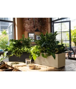 LECHUZA® Kunststoff-Kasten Balconera Stone, rechteckig Schwarz New