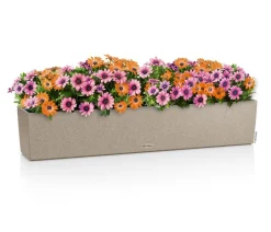 LECHUZA® Kunststoff-Kasten Balconera Stone, rechteckig Beige Best