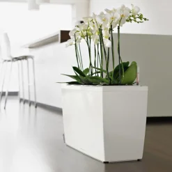 LECHUZA® Kunststoff-Kasten CARARO All-in-One-Set, rechteckig, ca. B75/H43/T30 cm Weiß Outlet