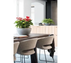 LECHUZA® Blumenampeln & -Schalen|Lechuza Pflanzgefäße & Töpfe > Kunststoff-Schale 'Cubeto Stone', rund