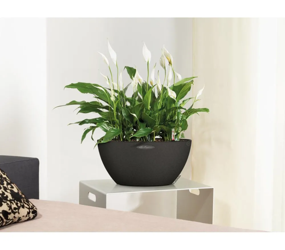 LECHUZA® Kunststoff-Schale 'Cubeto Stone', rund Schwarz