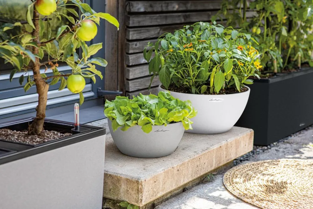 LECHUZA® Kunststoff-Schale 'Cubeto Stone', rund Weiß Discount