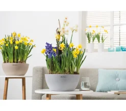 LECHUZA® Blumenampeln & -Schalen|Lechuza Pflanzgefäße & Töpfe - Kunststoff-Schale 'Cubeto Stone', rund Hellgrau