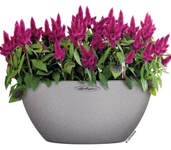 LECHUZA® Blumenampeln & -Schalen|Lechuza Pflanzgefäße & Töpfe - Kunststoff-Schale 'Cubeto Stone', rund Hellgrau