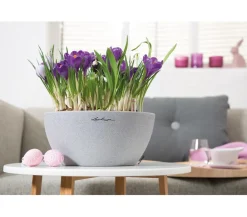 LECHUZA® Blumenampeln & -Schalen|Lechuza Pflanzgefäße & Töpfe - Kunststoff-Schale 'Cubeto Stone', rund Hellgrau