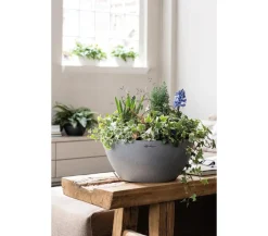 LECHUZA® Blumenampeln & -Schalen|Lechuza Pflanzgefäße & Töpfe - Kunststoff-Schale 'Cubeto Stone', rund Hellgrau