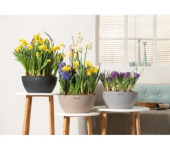 LECHUZA® Blumenampeln & -Schalen|Lechuza Pflanzgefäße & Töpfe - Kunststoff-Schale 'Cubeto Stone', rund Schwarz