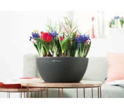 LECHUZA® Blumenampeln & -Schalen|Lechuza Pflanzgefäße & Töpfe - Kunststoff-Schale 'Cubeto Stone', rund Schwarz