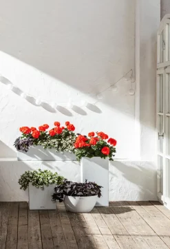 LECHUZA® Blumenampeln & -Schalen|Lechuza Pflanzgefäße & Töpfe - Kunststoff-Schale 'Cubeto Stone', rund Weiß