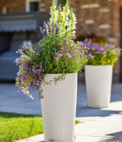 LECHUZA® Lechuza Pflanzgefäße & Töpfe - Kunststoff-Säule Cilindro Cottage inkl. Pflanzeinsatz, konisch Hellgrau
