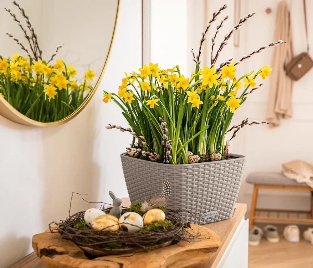 LECHUZA® Lechuza Pflanzgefäße & Töpfe > Kunststoff-Topf Bacino Cottage inkl. Pflanzeinsatz, konisch, ca. B31/H19,5/T31 cm