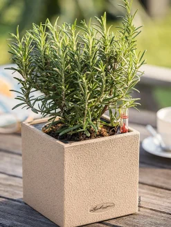 LECHUZA® Kunststoff-Topf Canto Stone, eckig, ca. B14/H13,5/T14 cm Hellbraun New