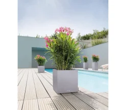 LECHUZA® Lechuza Pflanzgefäße & Töpfe|Blumentöpfe & Übertöpfe > Kunststoff-Topf Canto Stone, quadratisch