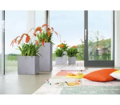 LECHUZA® Lechuza Pflanzgefäße & Töpfe|Blumentöpfe & Übertöpfe > Kunststoff-Topf Canto Stone, quadratisch