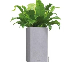 LECHUZA® Lechuza Pflanzgefäße & Töpfe|Blumentöpfe & Übertöpfe > Kunststoff-Topf Canto Stone, quadratisch