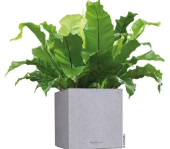 LECHUZA® Kunststoff-Topf Canto Stone, quadratisch Grau