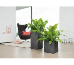 LECHUZA® Kunststoff-Topf Canto Stone, quadratisch Dunkelgrau Online