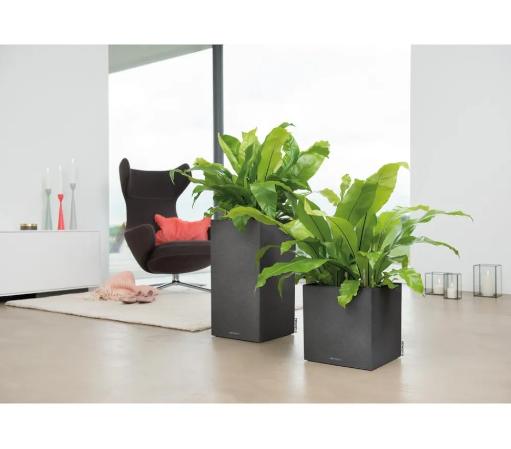 LECHUZA® Kunststoff-Topf Canto Stone, quadratisch Dunkelgrau Online