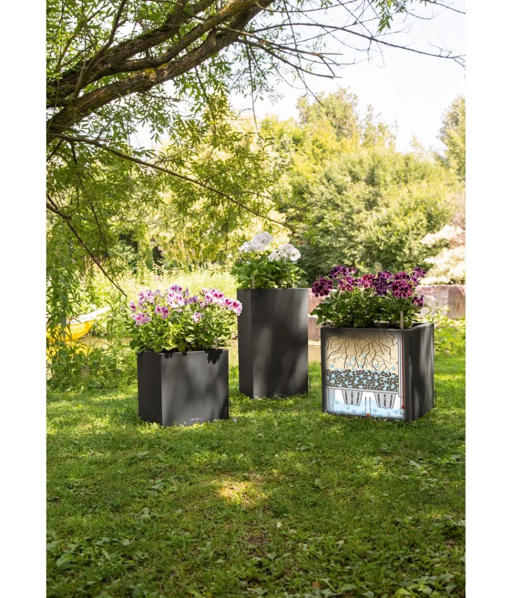 LECHUZA® Kunststoff-Topf Canto Stone, quadratisch Dunkelgrau Online
