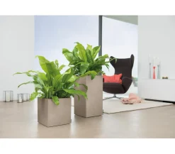 LECHUZA® Lechuza Pflanzgefäße & Töpfe|Blumentöpfe & Übertöpfe - Kunststoff-Topf Canto Stone, quadratisch Beige