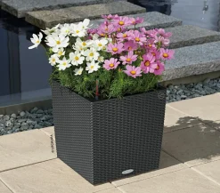 LECHUZA® Lechuza Pflanzgefäße & Töpfe|Blumentöpfe & Übertöpfe - Kunststoff-Topf Cube Cottage, quadratisch Dunkelgrau
