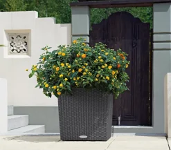 LECHUZA® Lechuza Pflanzgefäße & Töpfe|Blumentöpfe & Übertöpfe - Kunststoff-Topf Cube Cottage, quadratisch Dunkelgrau