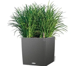 LECHUZA® Lechuza Pflanzgefäße & Töpfe|Blumentöpfe & Übertöpfe - Kunststoff-Topf Cube Cottage, quadratisch Dunkelgrau