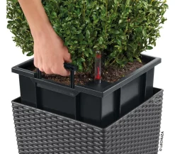 LECHUZA® Lechuza Pflanzgefäße & Töpfe|Blumentöpfe & Übertöpfe - Kunststoff-Topf Cube Cottage, quadratisch Dunkelgrau