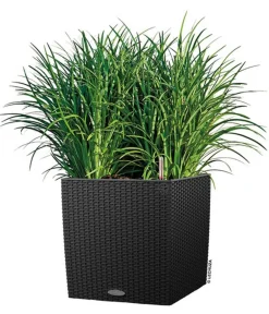 LECHUZA® Lechuza Pflanzgefäße & Töpfe|Blumentöpfe & Übertöpfe > Kunststoff-Topf Cube Cottage, quadratisch